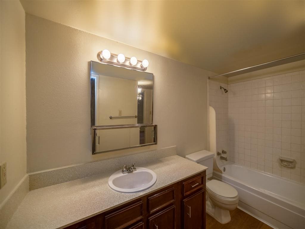 Stone Forest Image 9