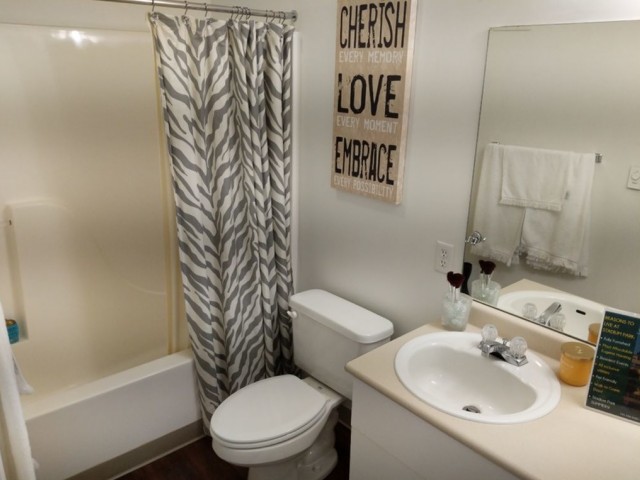 Stadium Park Image 9