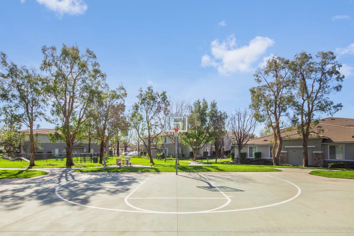 Camino Real Apartments Image 5