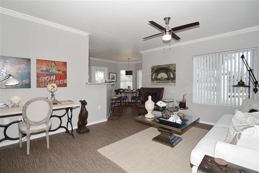 Living and Dining Room