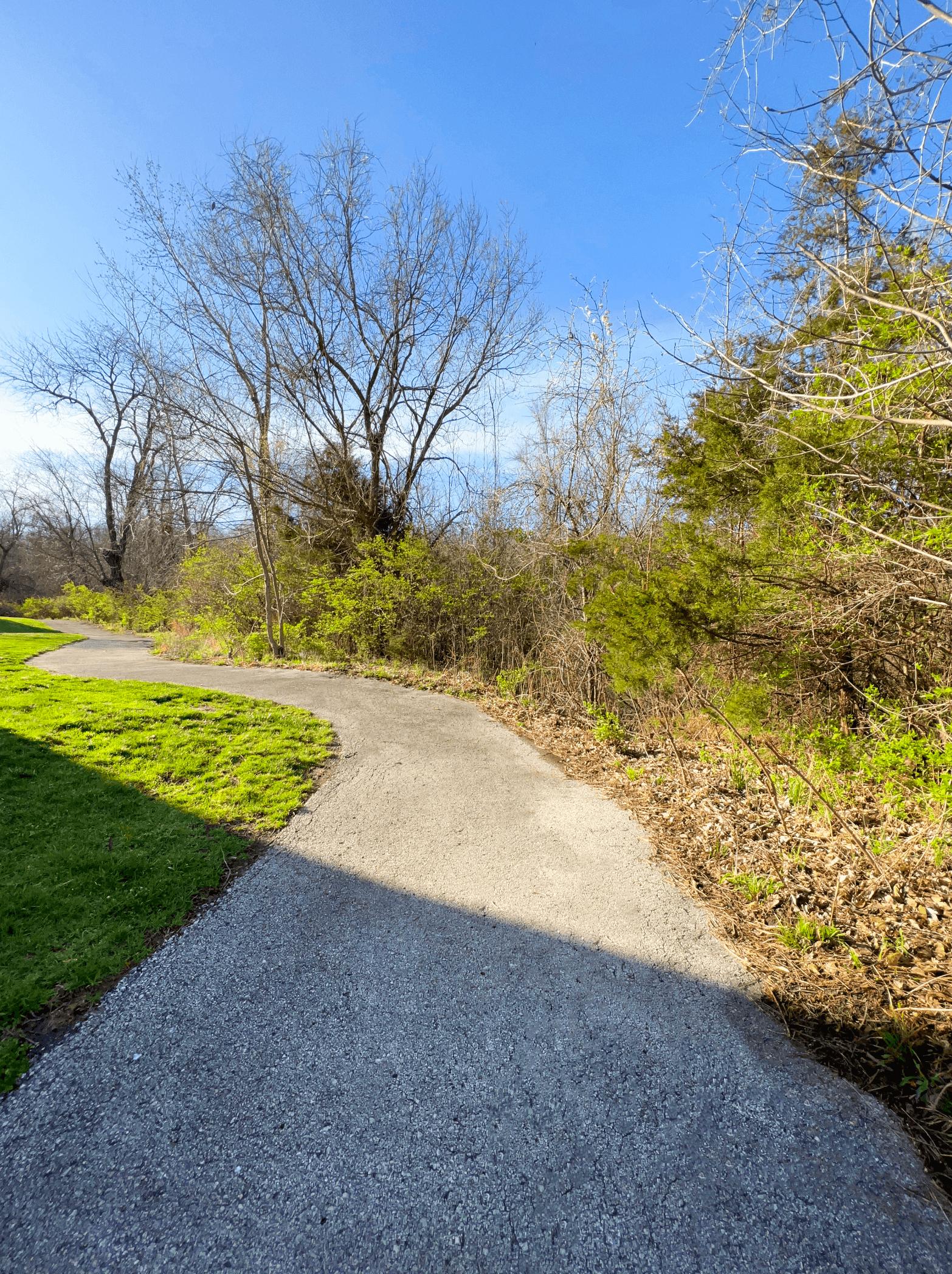 Timbercreek East Townhomes Image 30