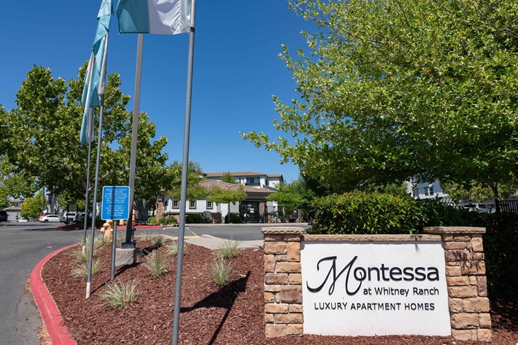Montessa at Whitney Ranch Image 23