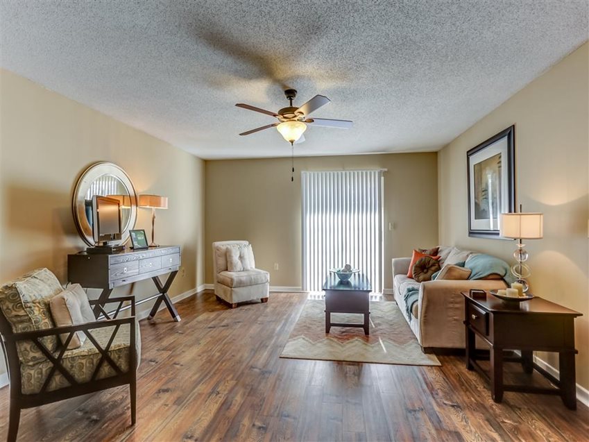 The Vineyard of Olive Branch Image 8