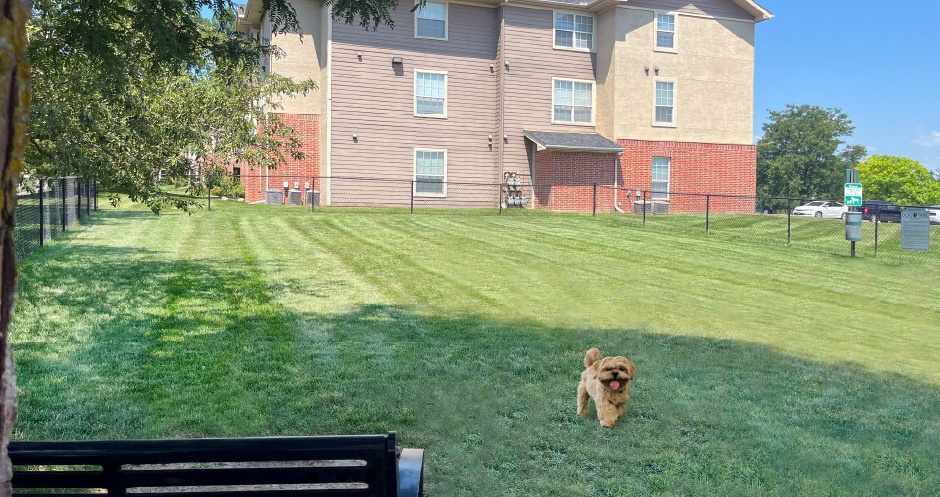 Breckenridge Apartments Image 17