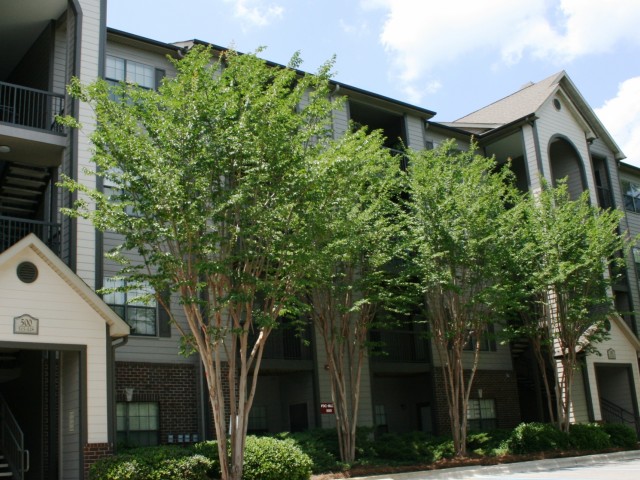 The Oaks at Lakeshore Image 5