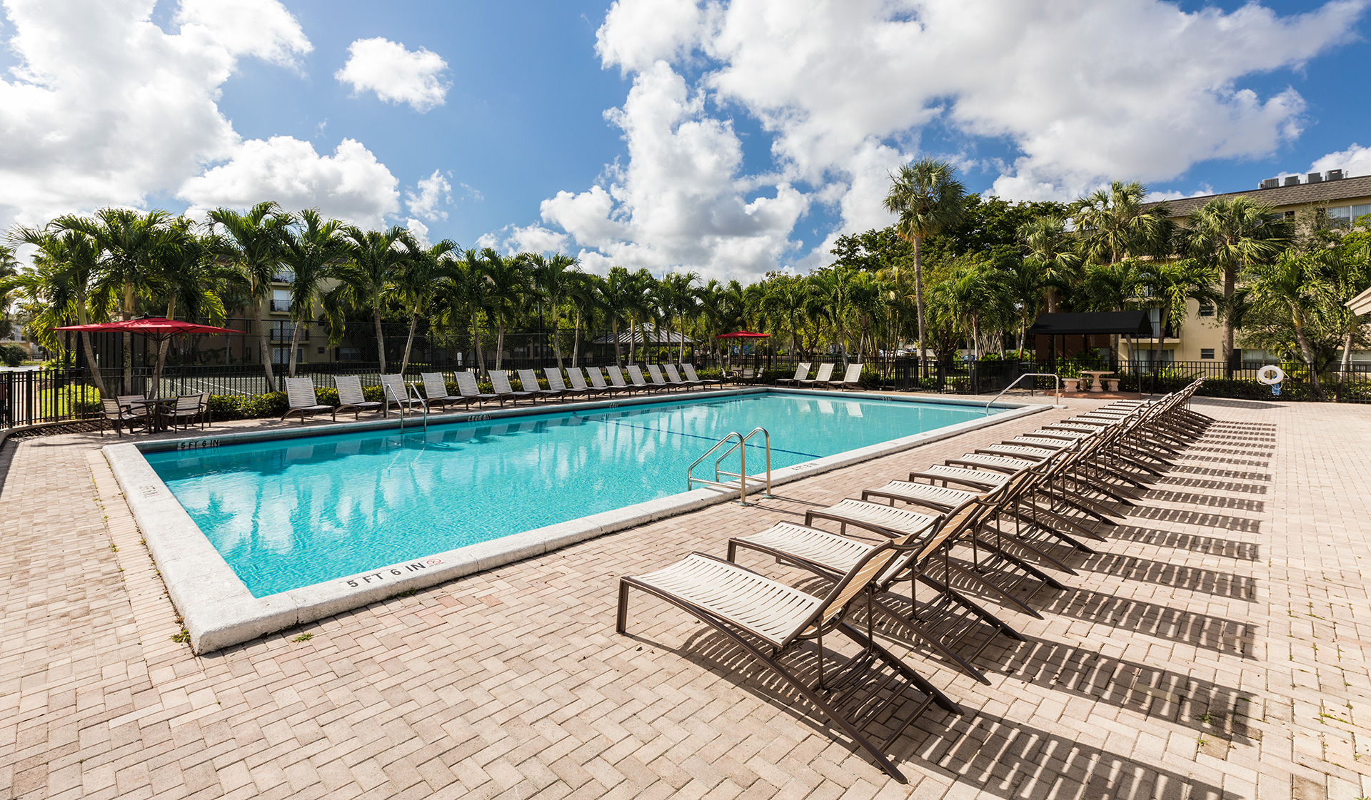 Outdoor swimming pool and sundeck 