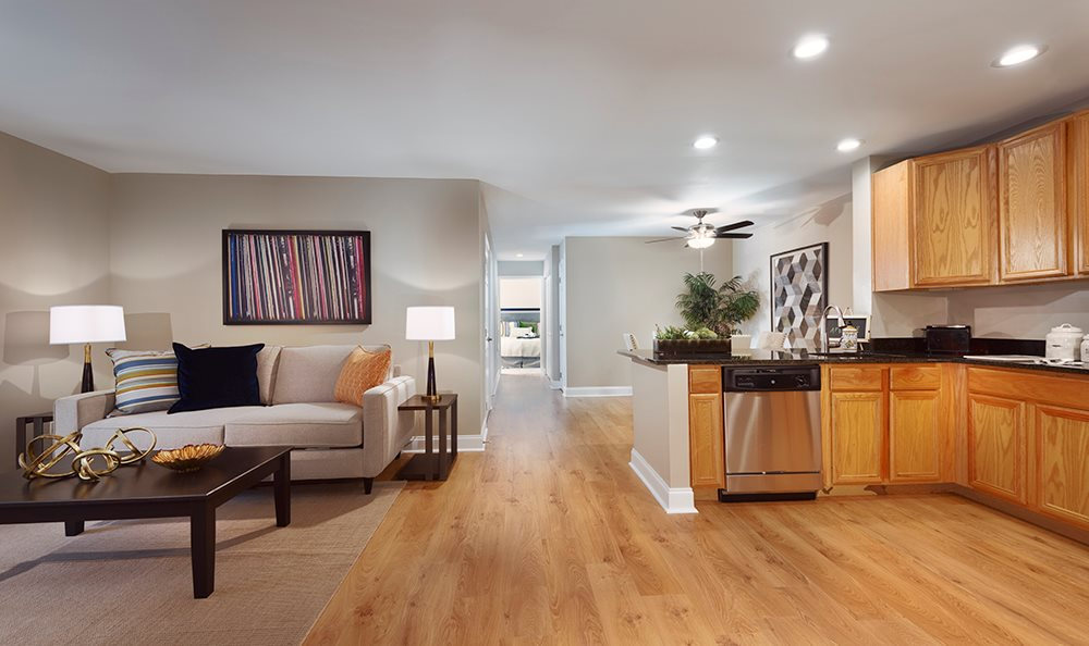 Stuart Hill  Image 8