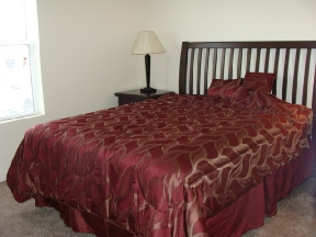 Villas de San Ignacio Image 5