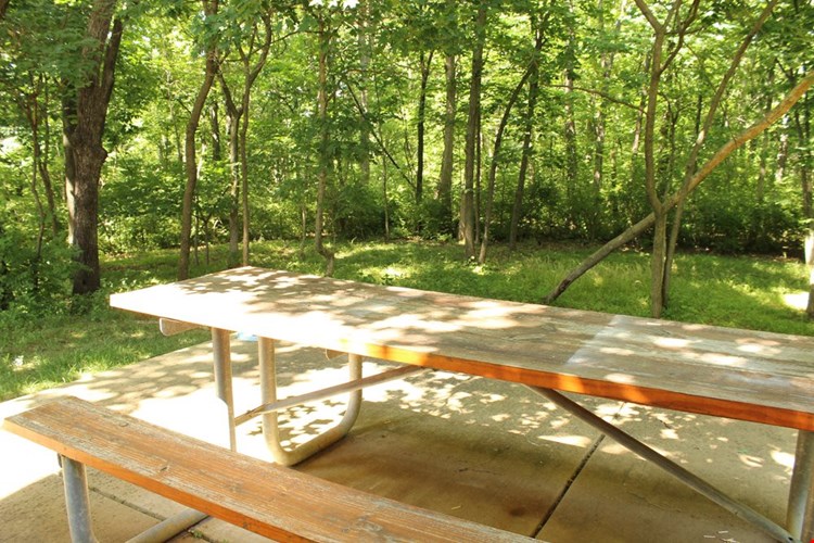 Greenmar Apartments Image 28