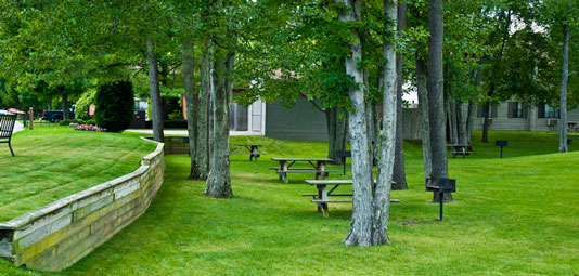 Fairwood Apartments Image 6