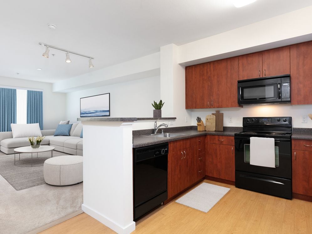 Classic Package I open concept kitchen and living area