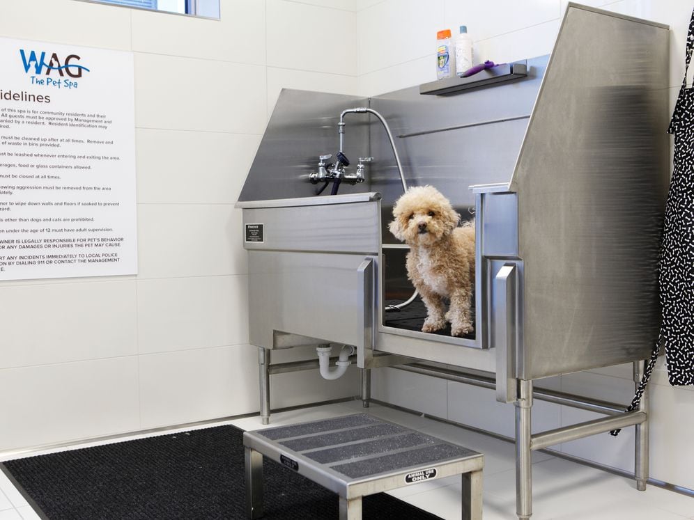 WAG Pet Spa.