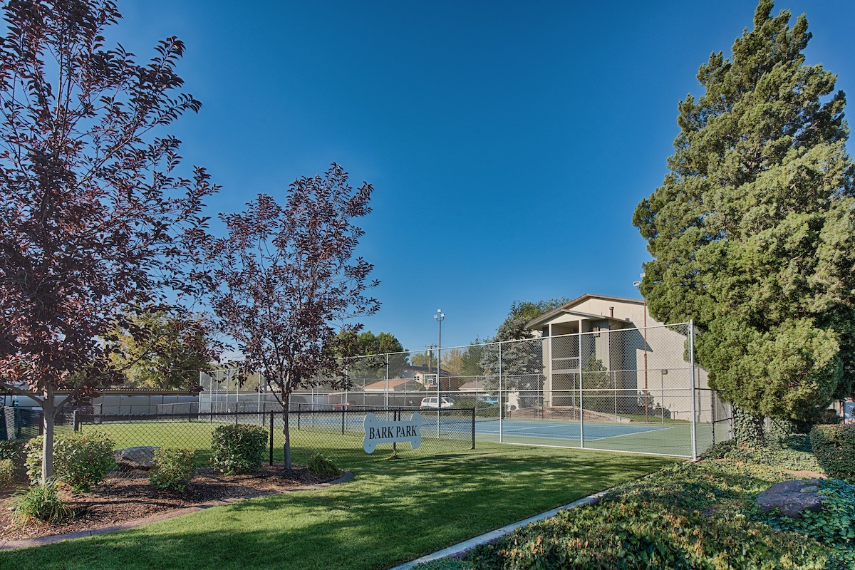 Country Lake Image 20