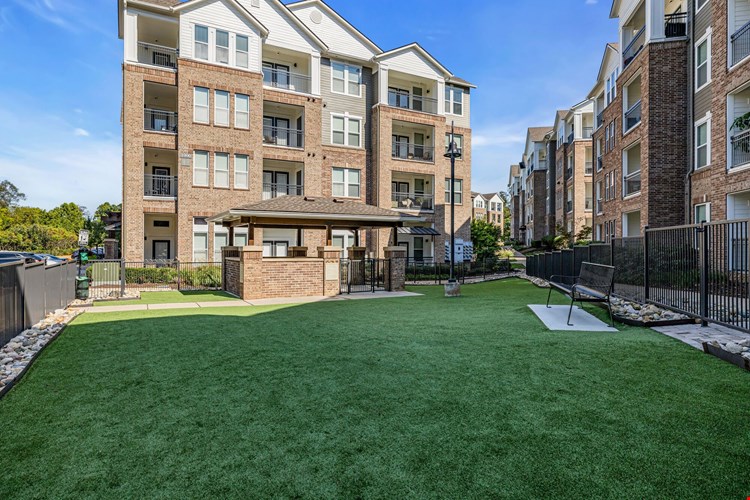 Artessa Apartments Image 13