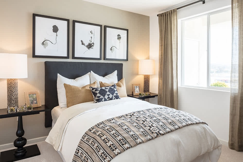 Apex Laguna Niguel Image 6