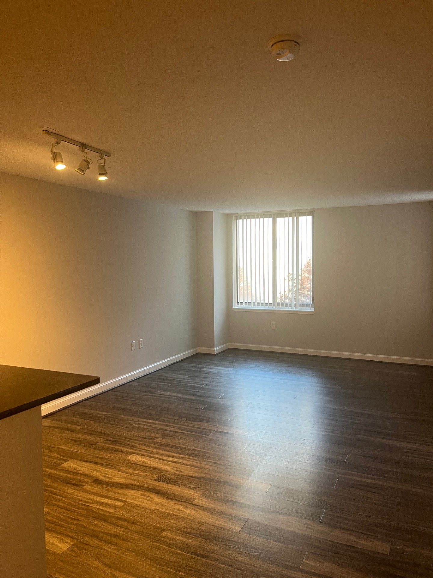 Palisades of Bethesda Image 32