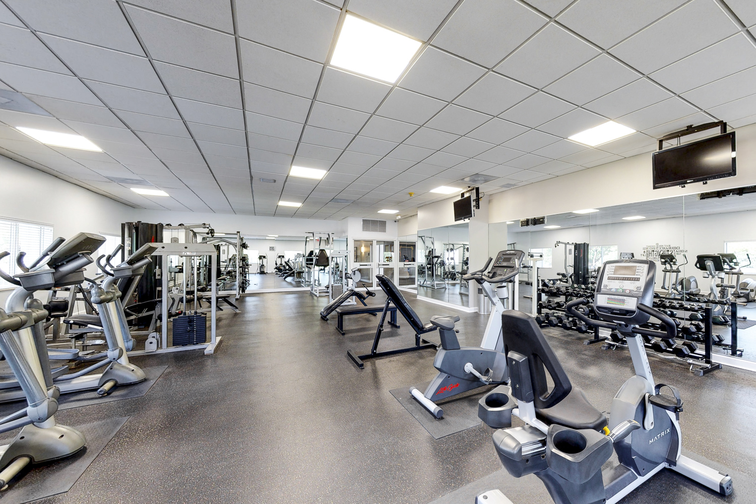 Village in the Park Image 5