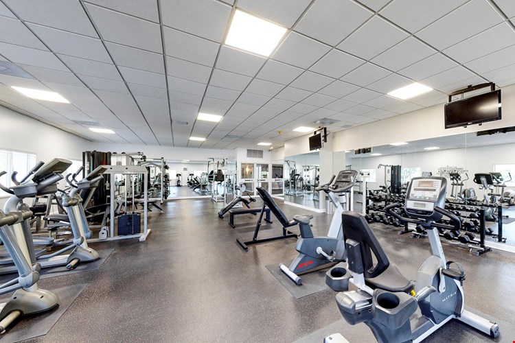 Village in the Park Image 5