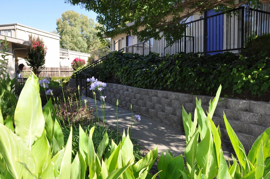 Sherwood and Forest Arms Apartments Image 3