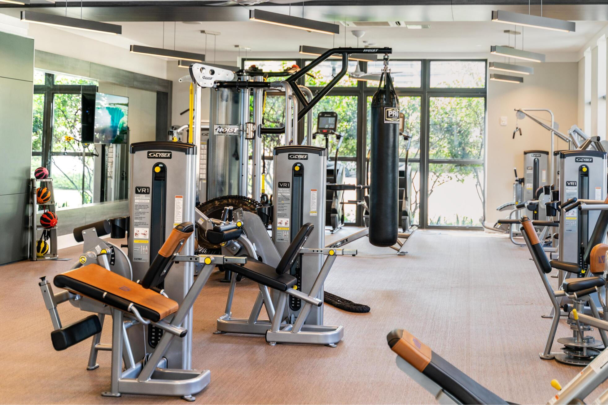 The Whitney Image 24