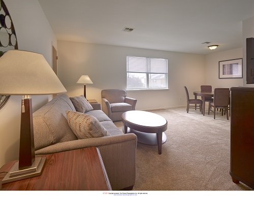 Eagle Stream Image 10