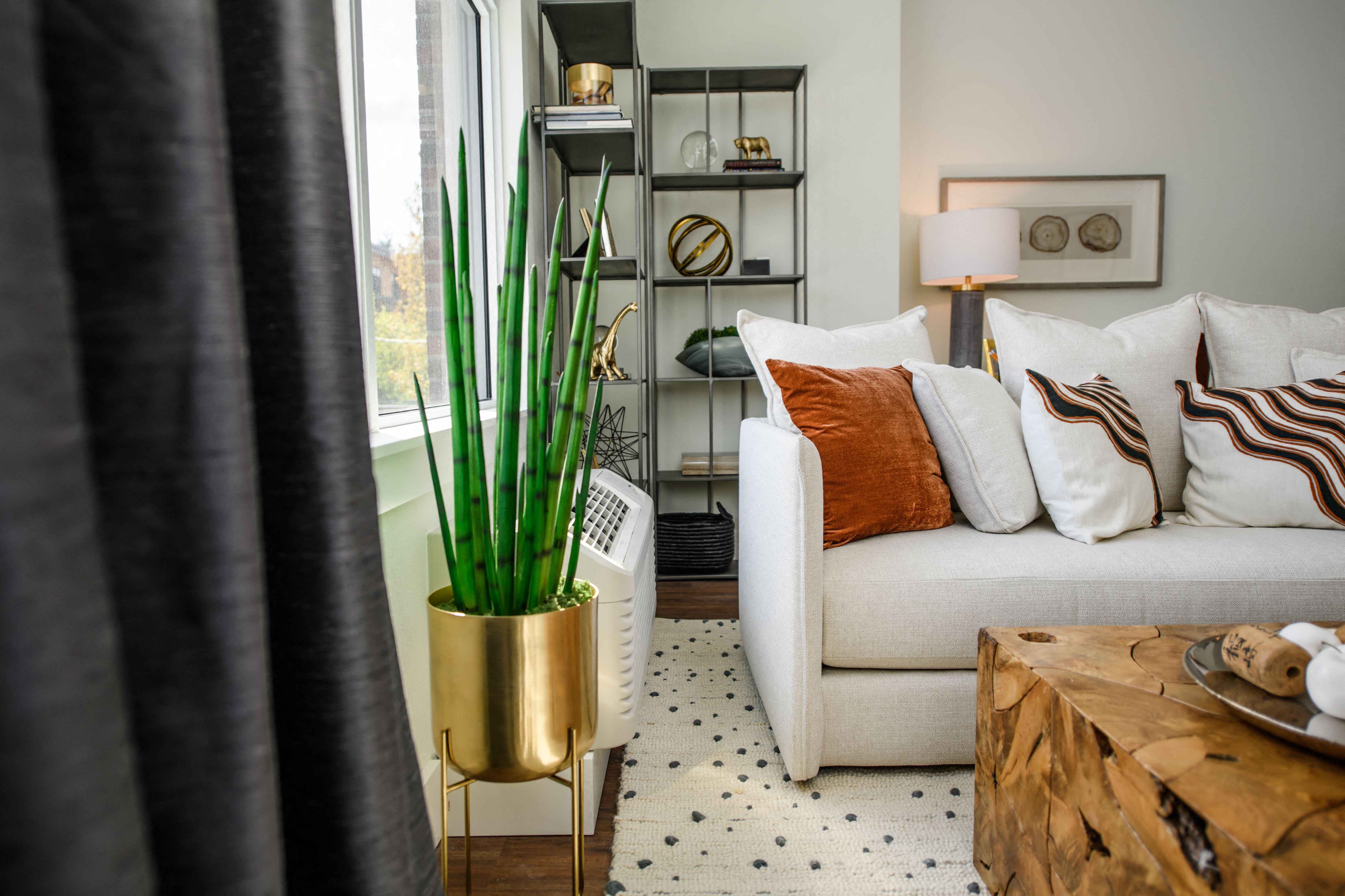 The George Besaw Apartments Model Couch and Window