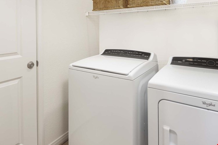 Camden Spring Creek Image 19