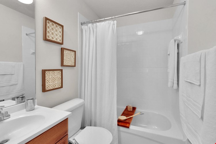 Flats at Midtown Image 8