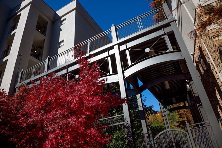 Camden Brookwood Image 28