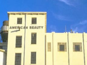 American Beauty Mill Lofts Image 1