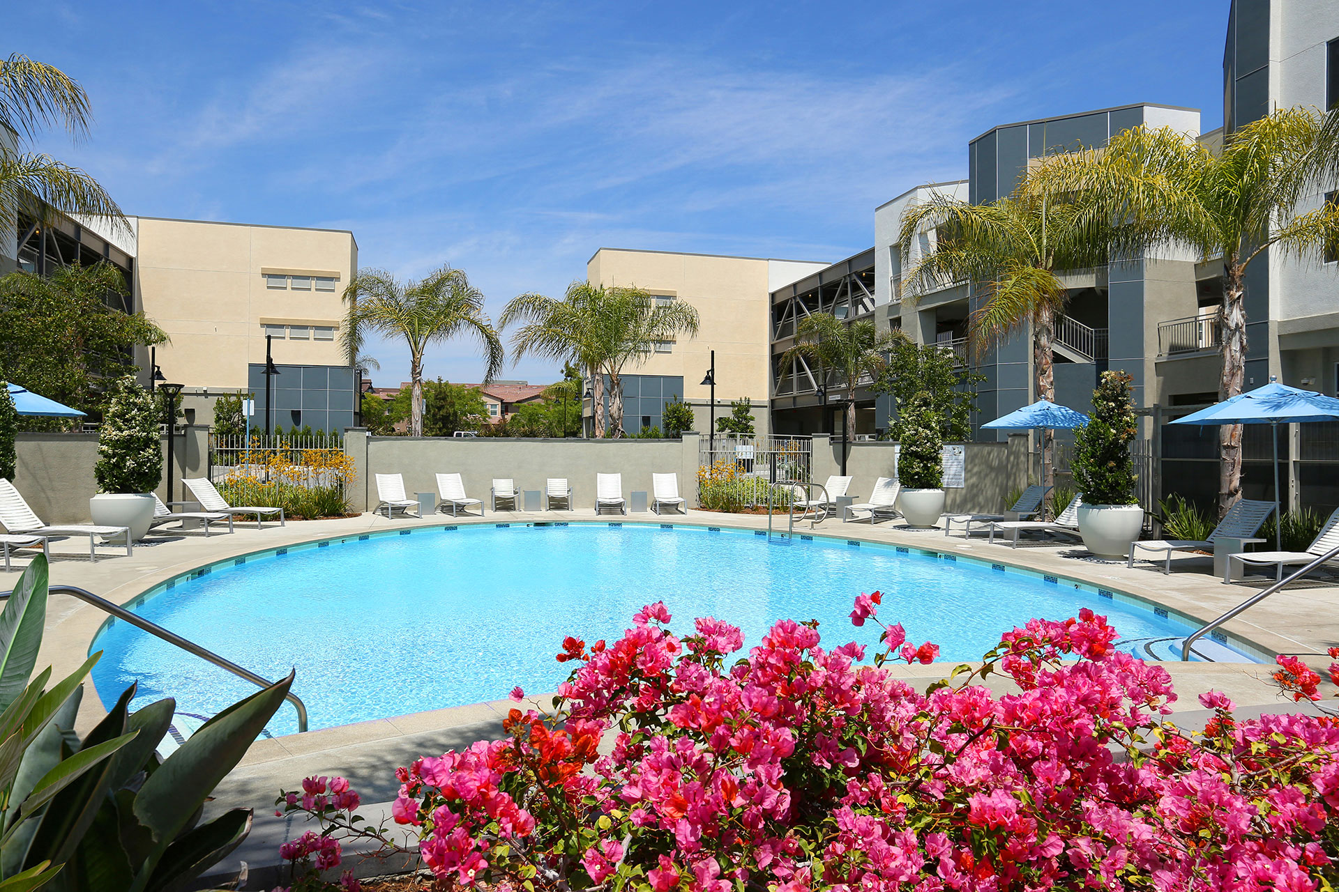 Large Community Pool