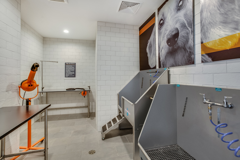 Camden Lansdowne Image 35