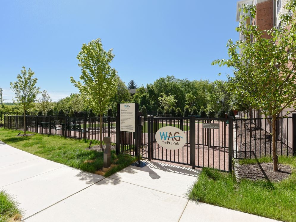 Hunt Valley - WAG pet park