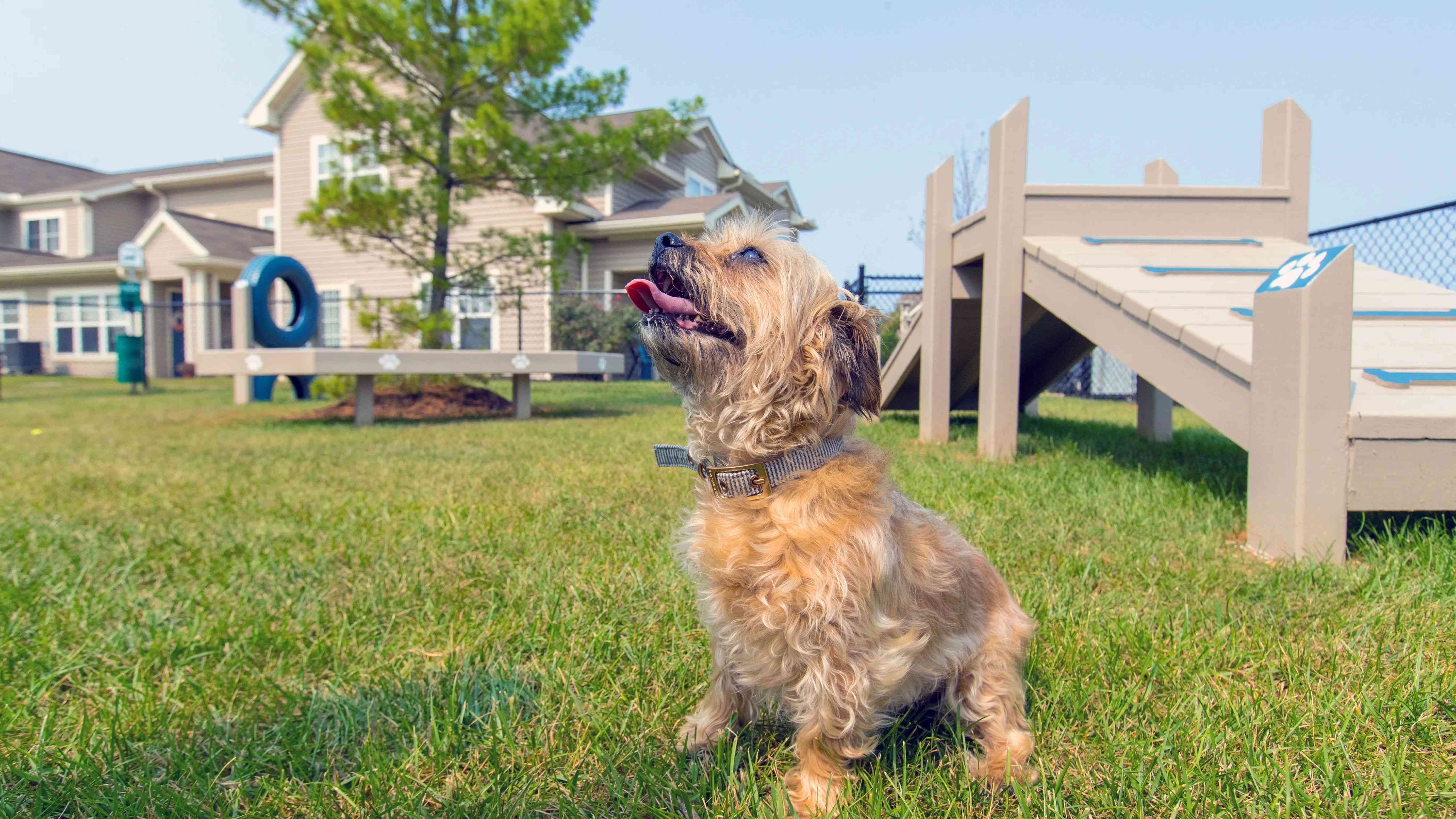 Our pet-friendly apartments in Monroe extend a warm welcome to your furry companions.
