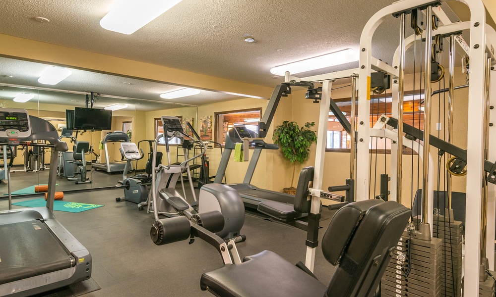 Cedars 94 Apartments Image 8