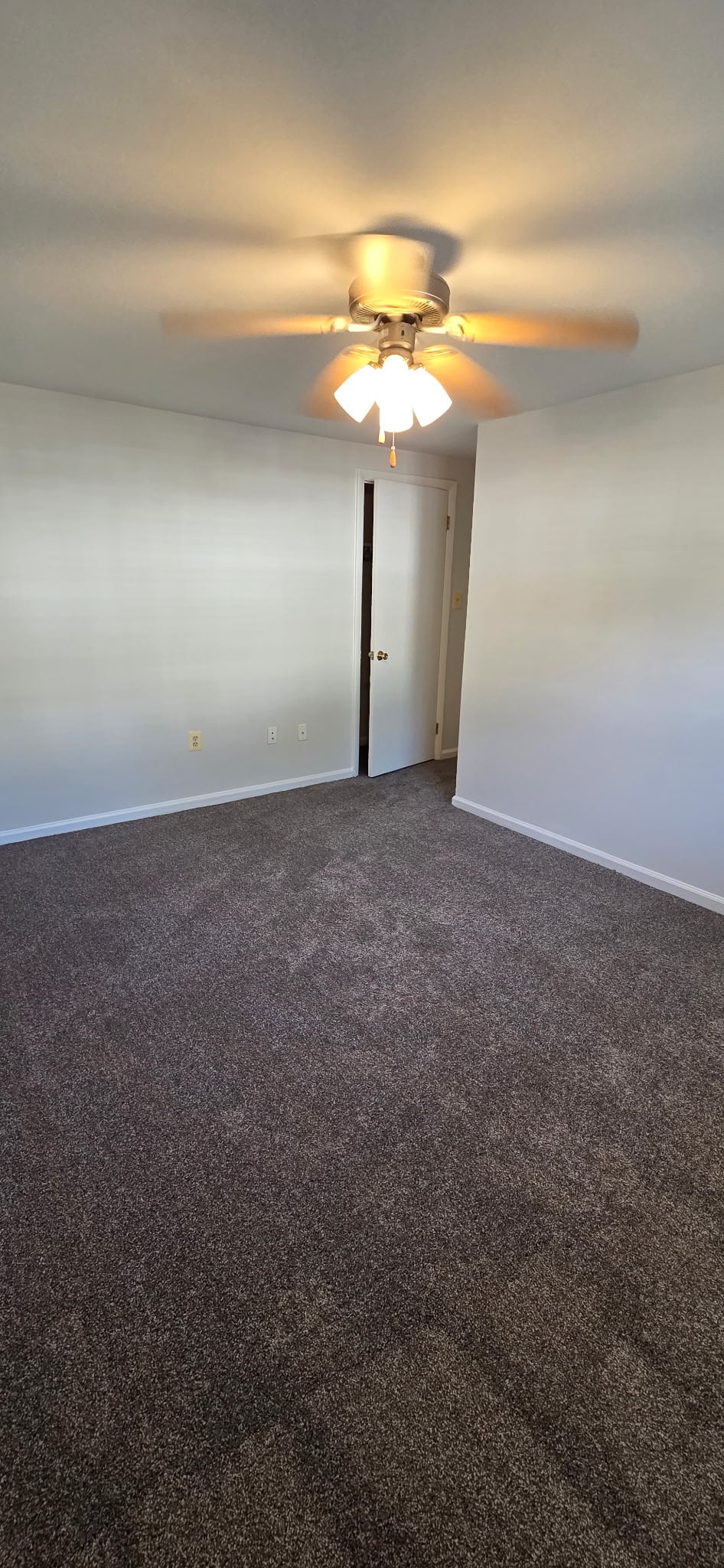 Longview Image 224