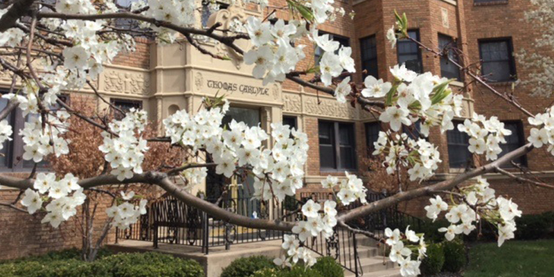 Plaza Apartment Center Image 1