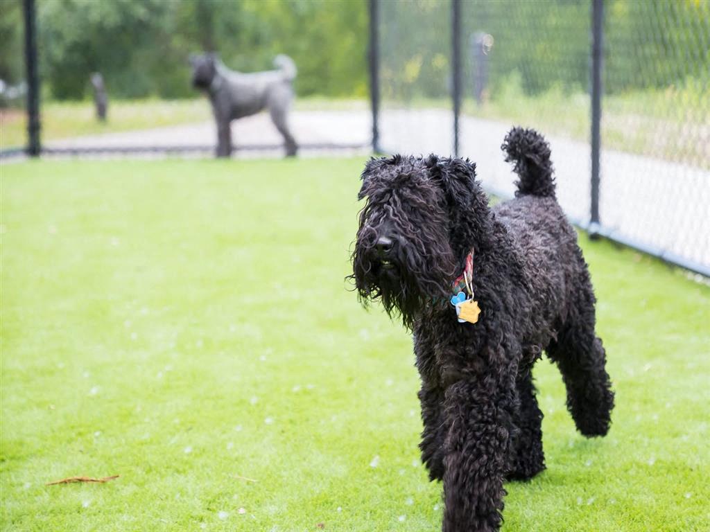 Foundry Lake Street Image 22