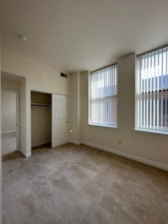 Standard Image 13