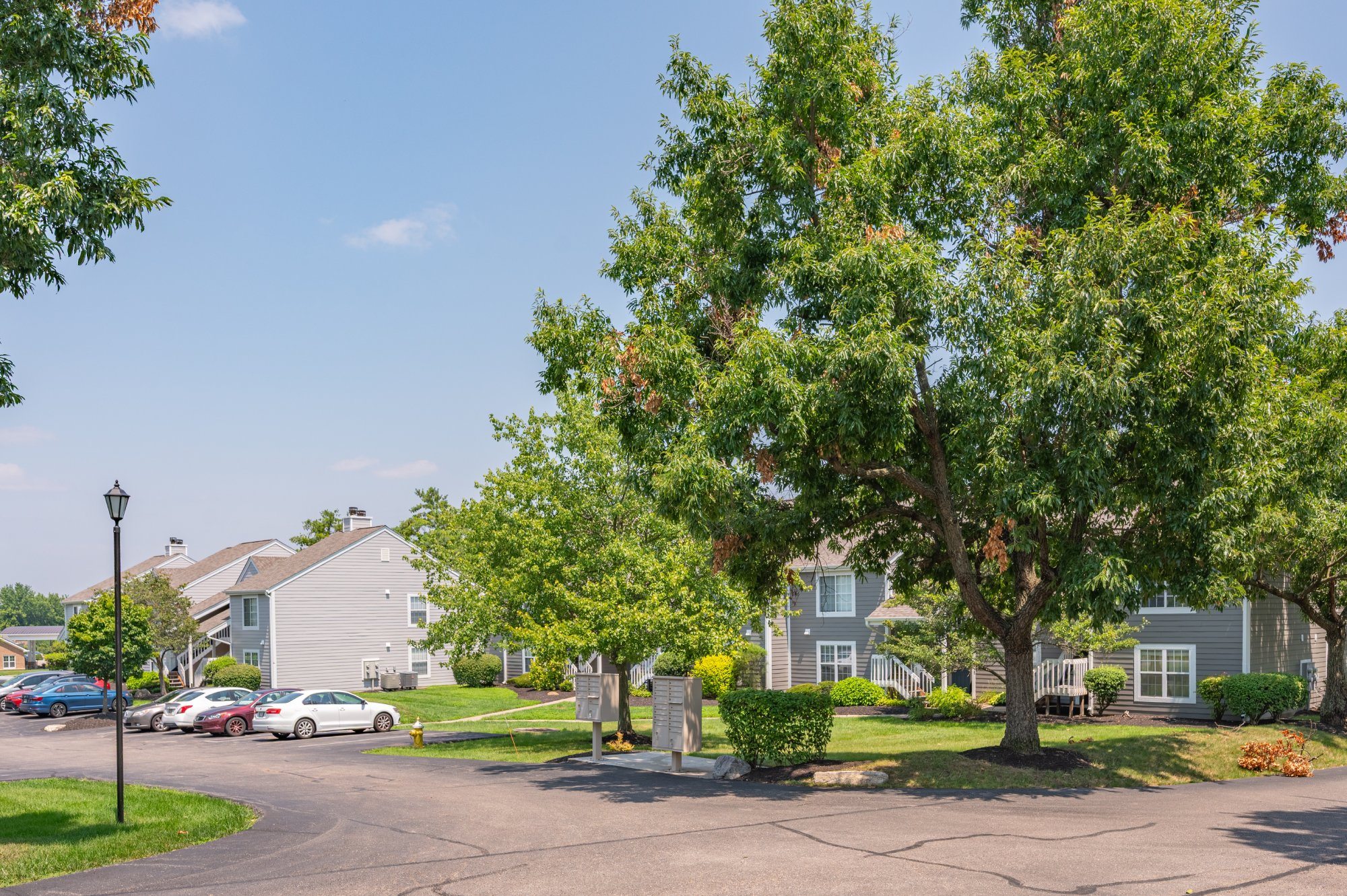 Normandy Club Image 47