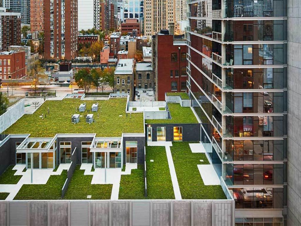 Eight O Five Image 46