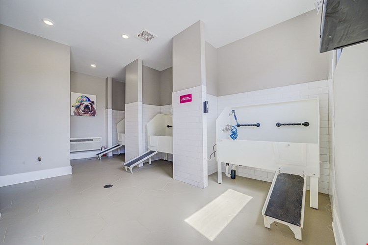 Holly Crest Image 11