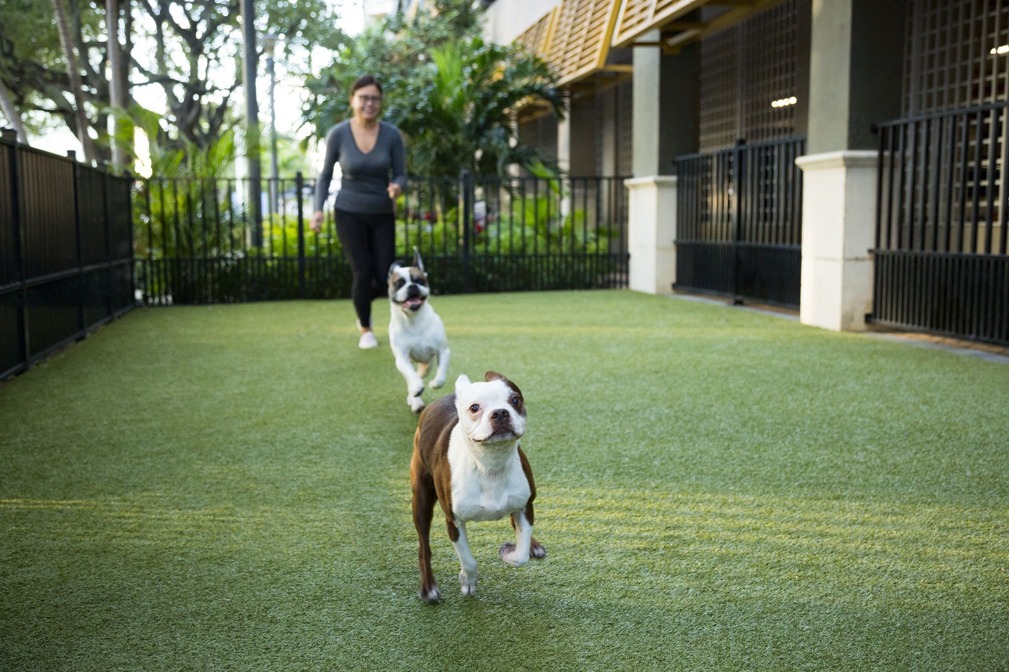 Camden Las Olas Image 42