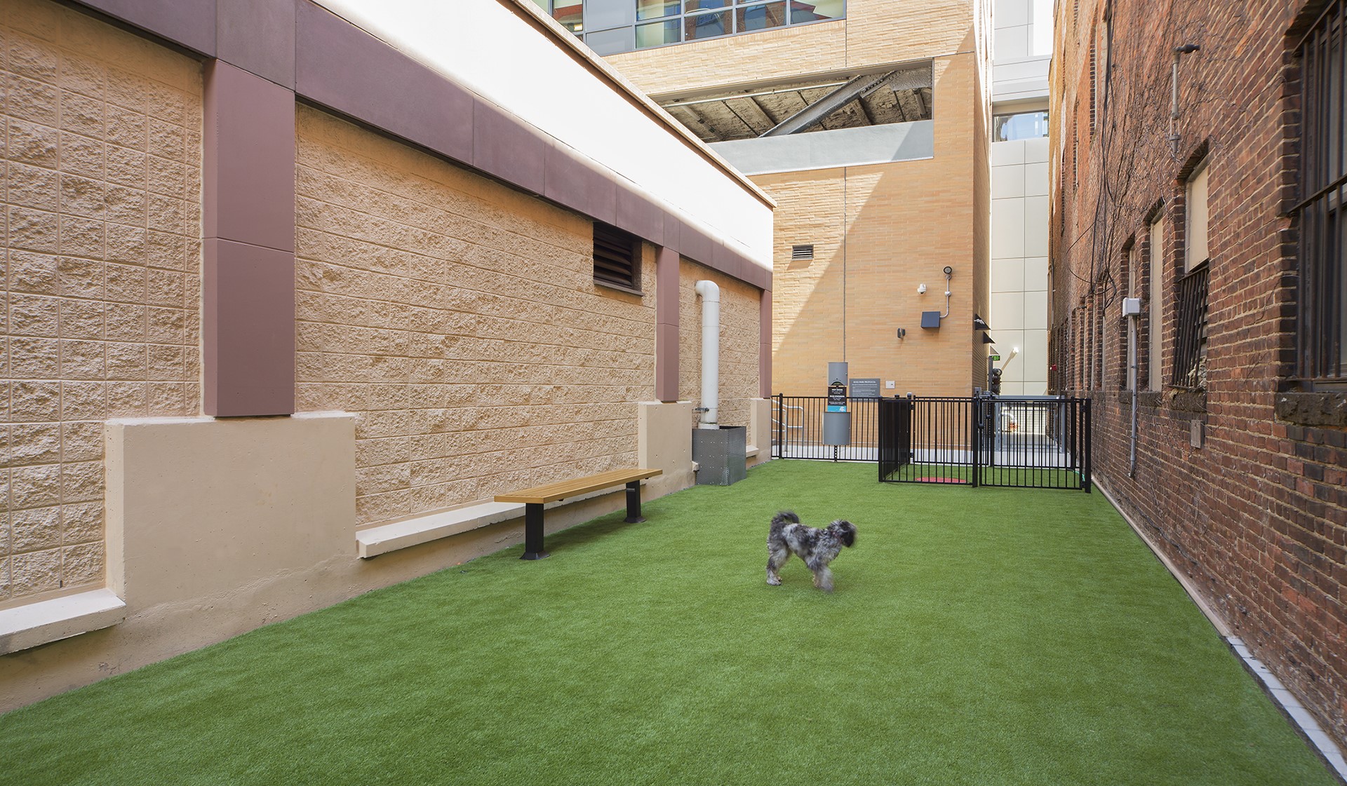 Take your dog to play at the onsite dog park