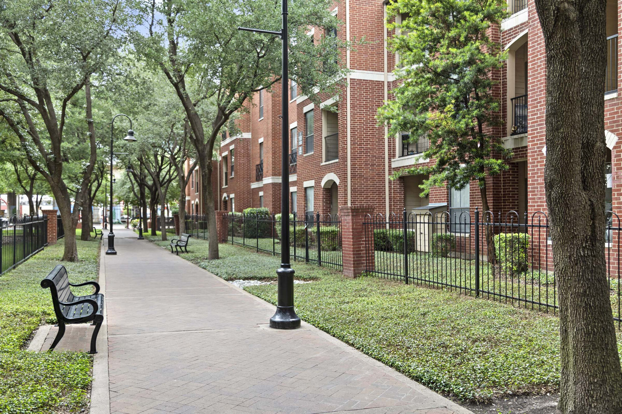 Camden Farmers Market Image 72