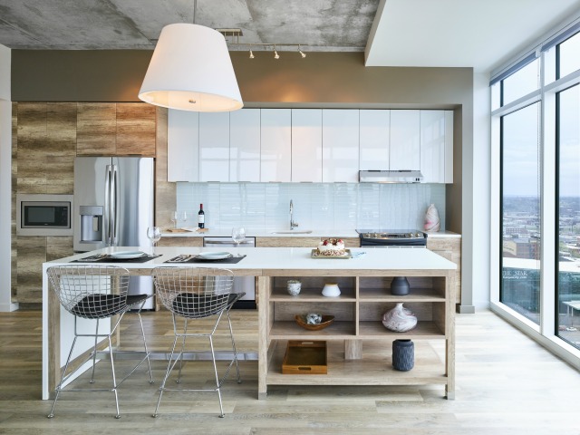 Two Light Luxury Apartments Image 1
