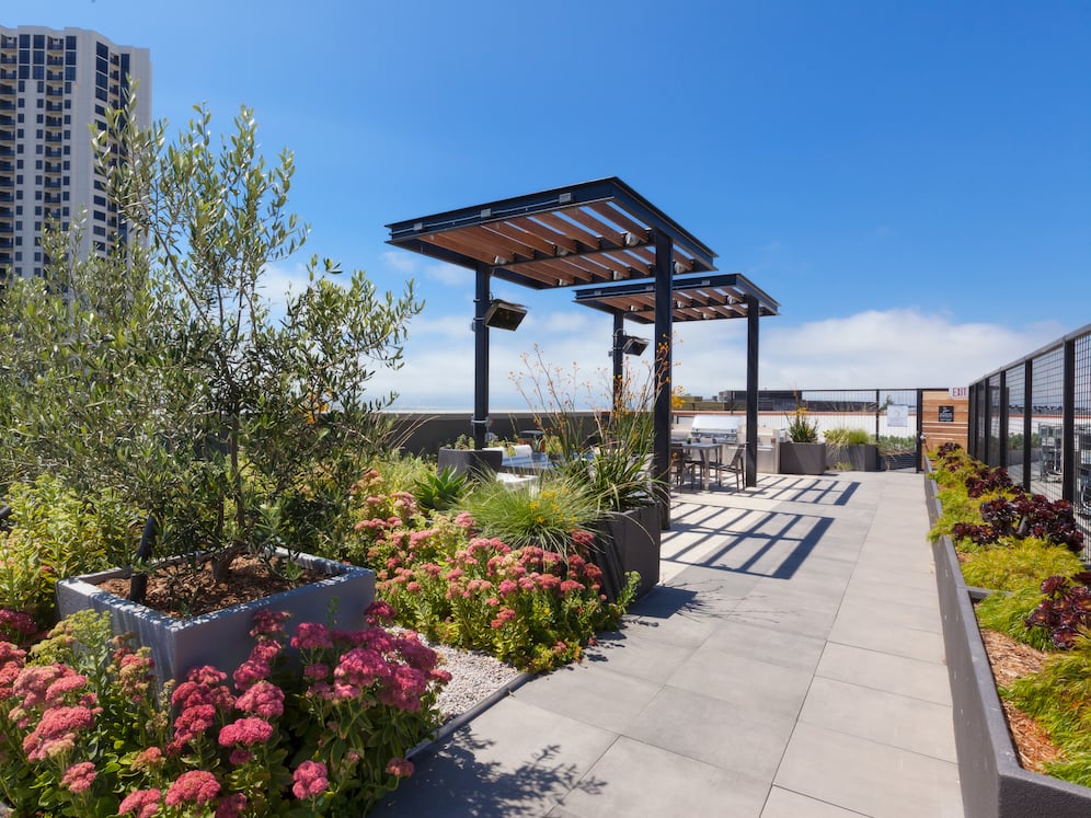 Rooftop Lounge