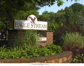 Eagle Stream Image 27