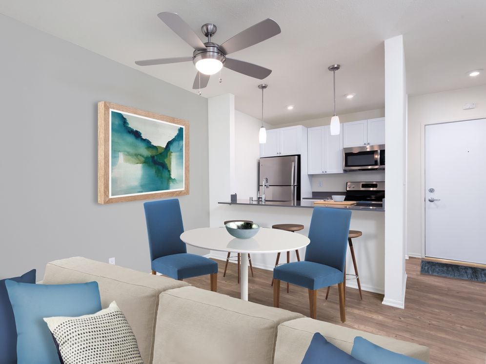 Renovated Apartment with Hardwood Flooring Throughout Kitchen Living Dining Areas