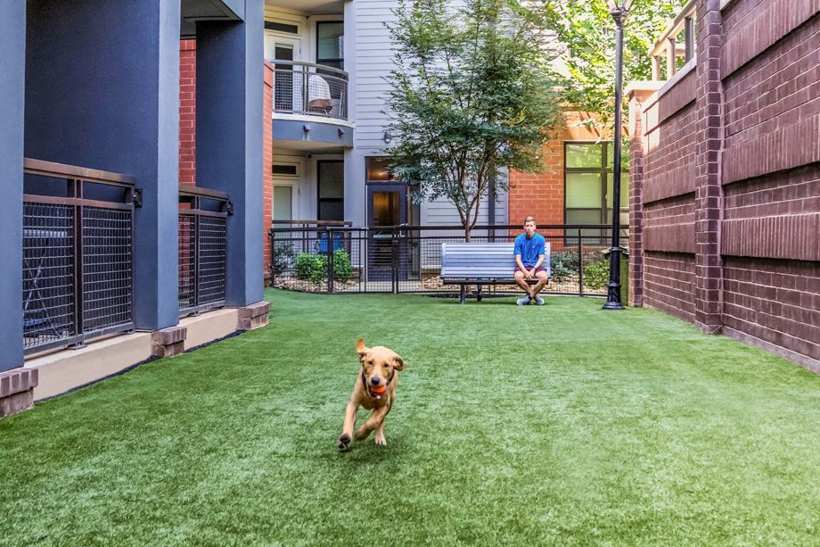 Camden Gallery Image 31